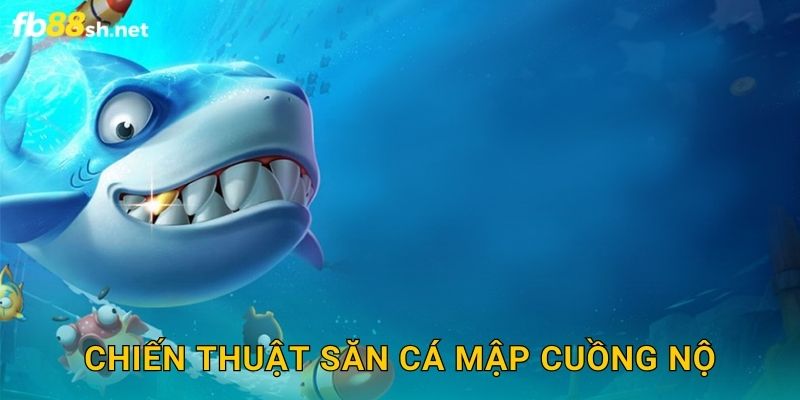 Chiến thuật săn Cá Mập Cuồng Nộ