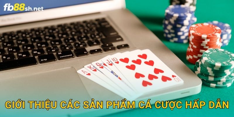 Giới thiệu các sản phẩm cá cược hấp dẫn