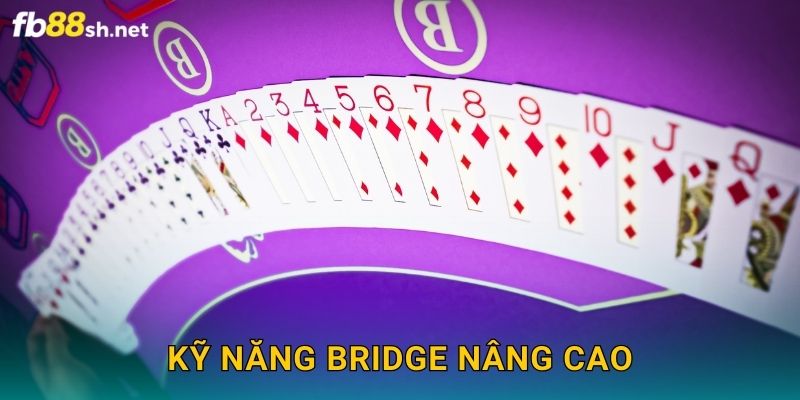 Kỹ năng Bridge nâng cao